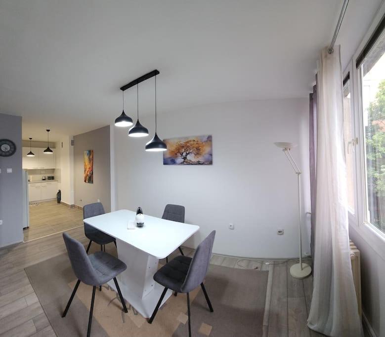 City Center Apt Wfree P スコピエ エクステリア 写真