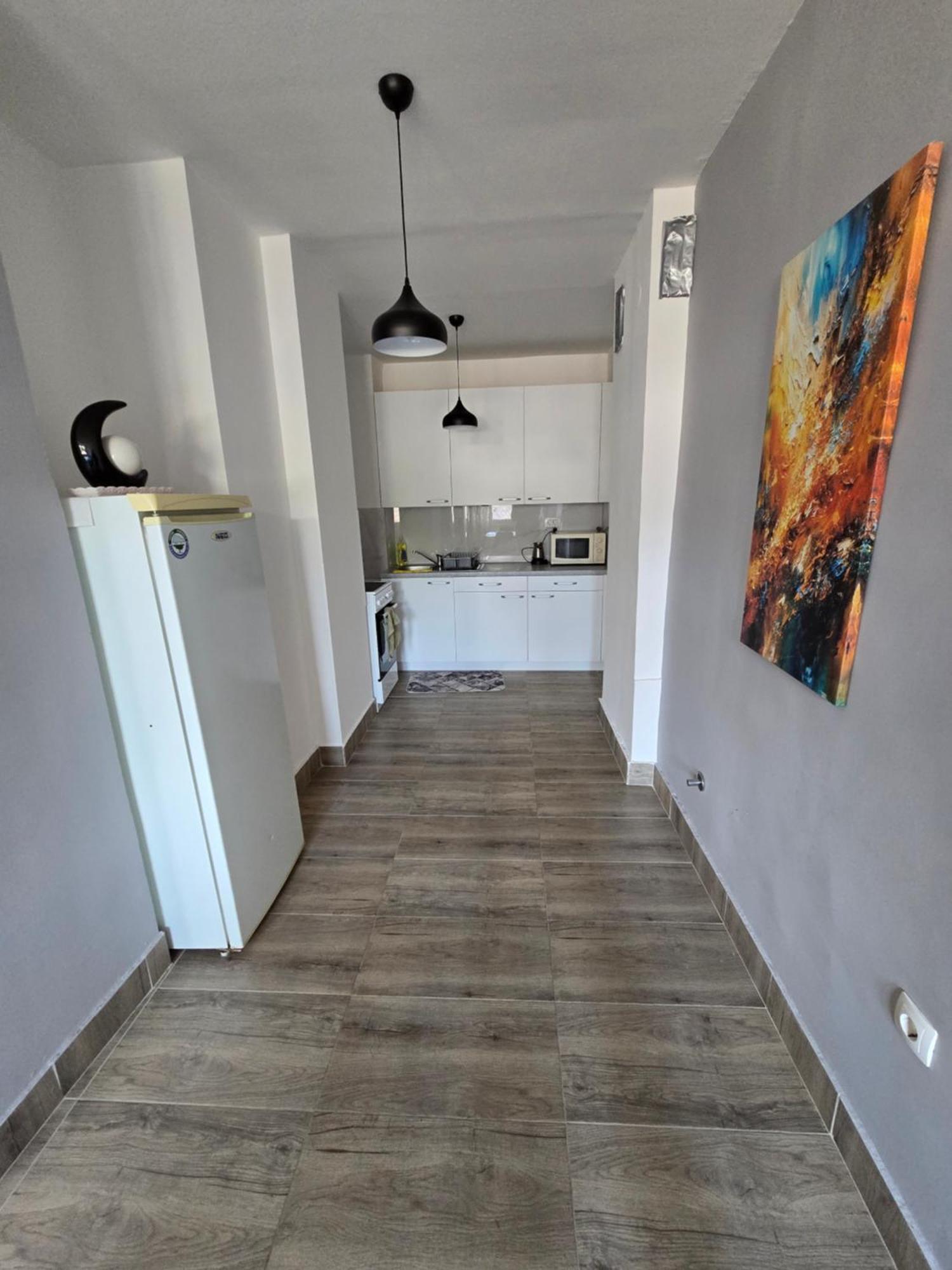 City Center Apt Wfree P スコピエ エクステリア 写真
